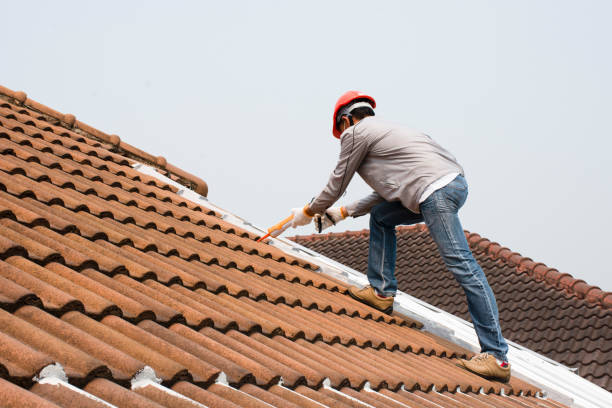 Best Emergency Roof Repair Services  in Avon By The Sea, NJ